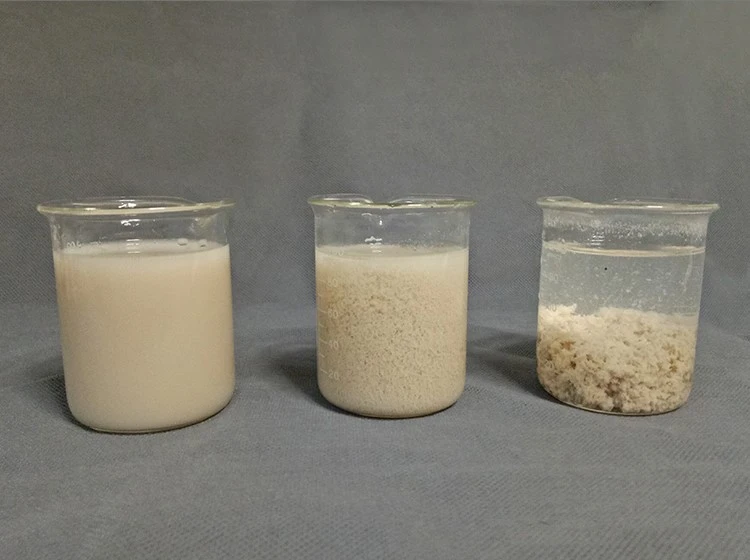 Anionic Polyacrylamide Flocculant for Water Treatment and Industrial Processes