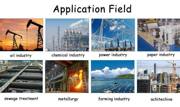 Anionic Polyacrylamide for Drilling Mud Additive (2)