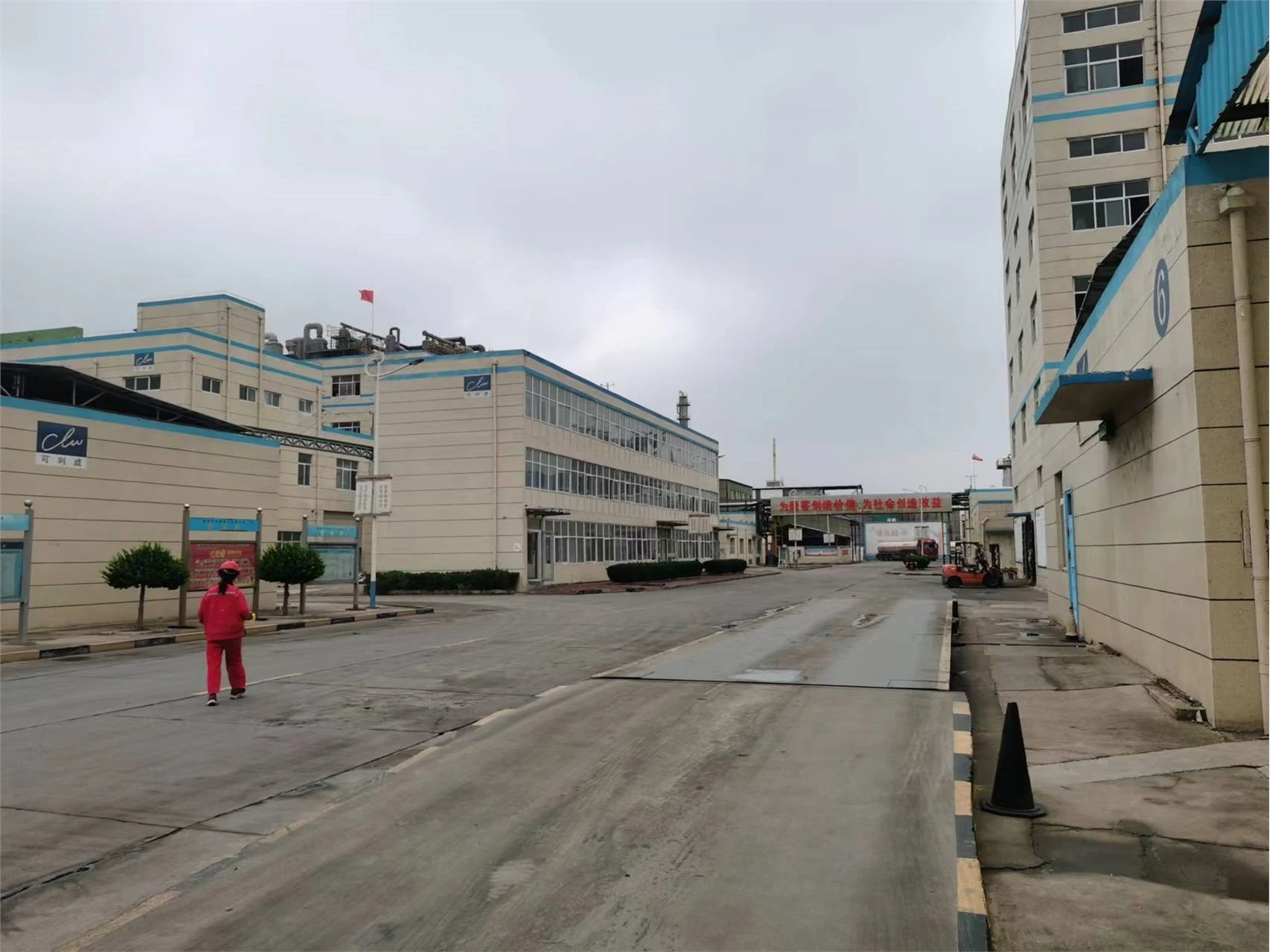 The Manufacturer Calcium Hypochlorite Pellets (6) The Manufacturer Calcium Hypochlorite Pellets (6)