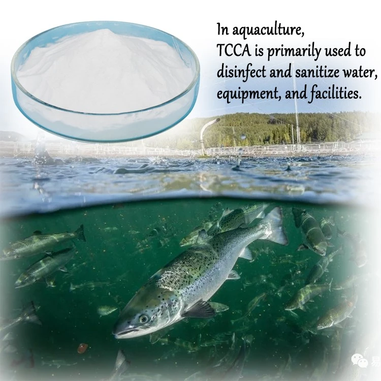 TCCA IN AQUACULTURE