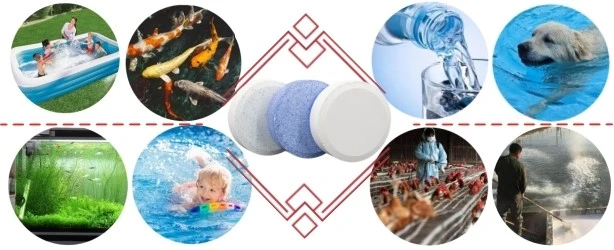 product-614-250 product-614-250
