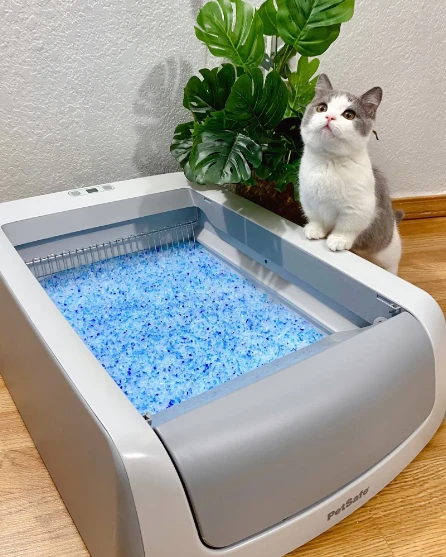 Dust-free Adsorption Fast 1.8 kg Factory Direct Supply Wholesale High-quality Silica Sand Cleaning Blue Crystal Silica Cat Litter
